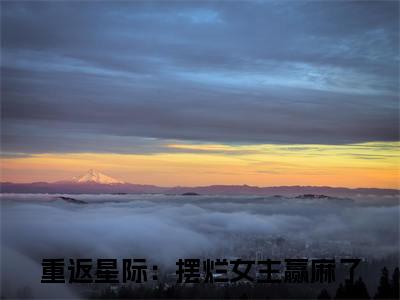 （苏向晚后续+免费）重返星际：摆烂女主赢麻了小说大结局-精彩美文苏向晚免费阅读