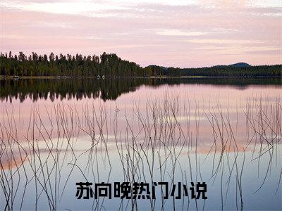 苏向晚：重返星际：摆烂女主赢麻了全文免费阅读无弹窗大结局_（苏向晚）重返星际：摆烂女主赢麻了最新章节列表笔趣阁