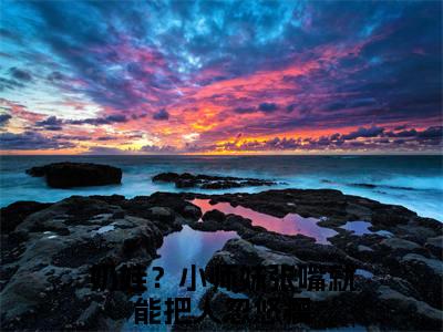 叶如月（奶娃？小师妹张嘴就能把人忽悠瘸）完整版小说阅读_-叶如月最新章节列表（奶娃？小师妹张嘴就能把人忽悠瘸）