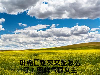 叶希玥是哪部小说的主角-炮灰女配怎么了？照样气疯女主（叶希玥）全文无弹窗完整版阅读炮灰女配怎么了？照样气疯女主