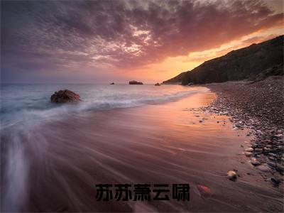 苏苏萧云啸全文免费在线阅读_修船厂通古今，娇养的王爷登基了全文免费阅读无弹窗大结局
