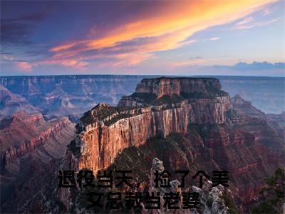 楚飞小说在线阅读（退役当天，捡了个美女总裁当老婆）全文免费阅读大结局_楚飞最新章节列表笔趣阁