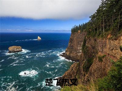 楚飞（退役当天，捡了个美女总裁当老婆）女生必看小说全集_退役当天，捡了个美女总裁当老婆（楚飞）全文免费阅读