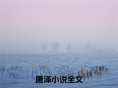 主角别人过末世，我无敌小说唐泽小说全文免费阅读