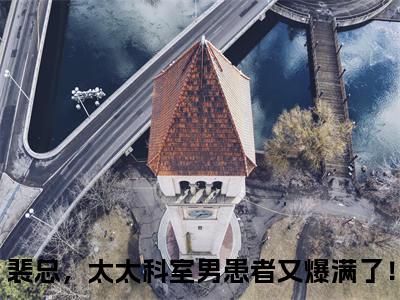 小说裴锦川顾眠（裴总，太太科室男患者又爆满了！小说免费阅读）完结阅读_裴锦川顾眠全文免费阅读最新章节大结局