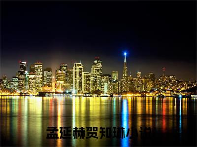 （孟延赫贺知琳小说免费阅读）孟延赫贺知琳全文免费阅读无弹窗大结局-孟延赫贺知琳全文免费版阅读