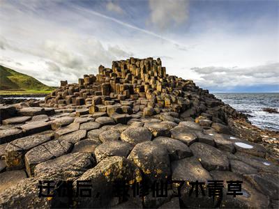 迁徙后，我修仙了木青草（迁徙后，我修仙了木青草）全文免费阅读无弹窗大结局_迁徙后，我修仙了木青草小说全文免费阅读最新章节列表_笔趣阁