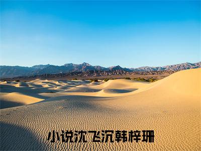 沈飞沉韩梓珊（沈飞沉韩梓珊）全文免费阅读无弹窗_沈飞沉韩梓珊最新小说_笔趣阁