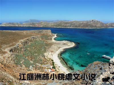 江庭洲林小桃小说（江庭洲林小桃）全文免费阅读-江庭洲林小桃精彩章节在线阅读