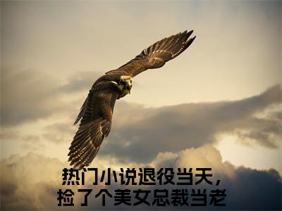 退役当天，捡了个美女总裁当老婆楚飞小说免费版最新更新阅读-退役当天，捡了个美女总裁当老婆楚飞全文免费阅读