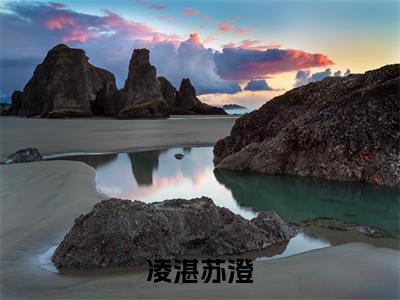 凌湛苏澄高人气小说-凌湛苏澄全文阅读下拉式
