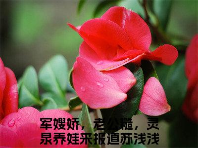 军嫂娇，老公糙，灵泉养娃来报道苏浅浅全文免费阅读-军嫂娇，老公糙，灵泉养娃来报道苏浅浅小说（军嫂娇，老公糙，灵泉养娃来报道苏浅浅）免费阅读全文