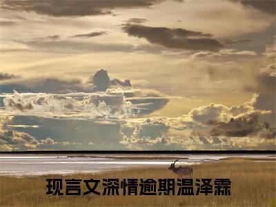 （深情逾期温泽霖）小说全文免费阅读-微小说（深情逾期温泽霖）完整版阅读
