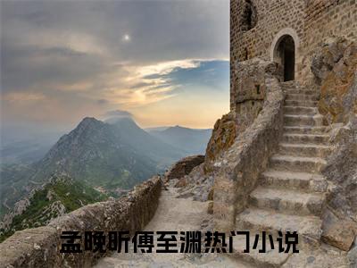 晚心如至渊（孟晚昕傅至渊）高质量小说免费阅读_晚心如至渊最新章节列表_笔趣阁