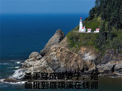 杀手穿成疯婆子，她疯批到底项溪小说免费阅读 杀手穿成疯婆子，她疯批到底项溪免费阅读无弹窗小说