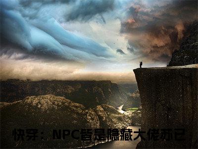 快穿：NPC皆是隐藏大佬苏已是哪部小说的主角，快穿：NPC皆是隐藏大佬苏已免费阅读全文大结局