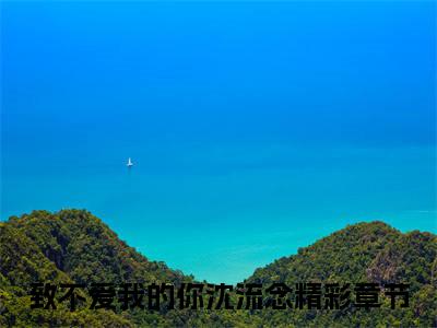 致不爱我的你沈流念（致不爱我的你沈流念）全文免费阅读无弹窗大结局_致不爱我的你沈流念:致不爱我的你沈流念最新章节列表_笔趣阁（致不爱我的你沈流念）