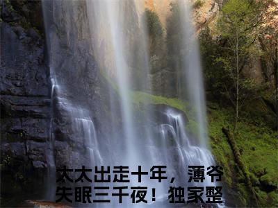 太太出走十年，薄爷失眠三千夜！是什么小说-小说桑瑜薄斯年全文阅读