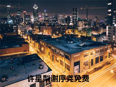 许星梨谢序尧精选好书-许星梨谢序尧无删减小说在线阅读（许星梨谢序尧全文免费阅读）