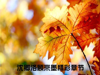 沈卿洛顾京墨（沈卿洛顾京墨）小说第20章第3节讲述的是什么？沈卿洛顾京墨小说在线阅读