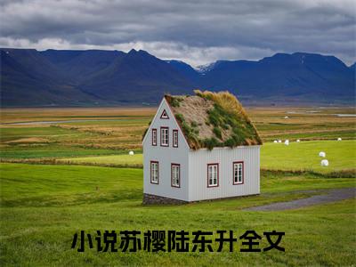 苏樱陆东升小说（苏樱陆东升）完整版阅读-苏樱陆东升小说全文无删减版
