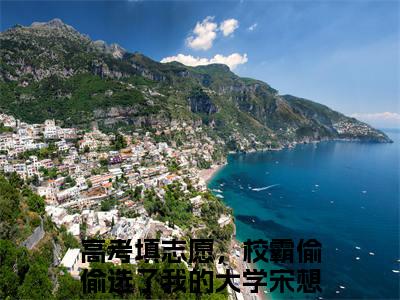 高考填志愿，校霸偷偷选了我的大学宋想想（高考填志愿，校霸偷偷选了我的大学宋想想）小说大结局全文免费阅读-抖音小说高考填志愿，校霸偷偷选了我的大学宋想想