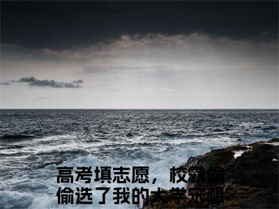 高考填志愿，校霸偷偷选了我的大学宋想想的小说（高考填志愿，校霸偷偷选了我的大学宋想想）免费阅读_高考填志愿，校霸偷偷选了我的大学宋想想小说免费阅读-笔趣阁