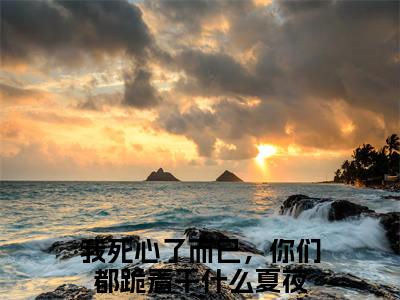 我死心了而已，你们都跪着干什么夏夜（我死心了而已，你们都跪着干什么夏夜）小说在线阅读_我死心了而已，你们都跪着干什么夏夜全本免费小说阅读（我死心了而已，你们都跪着干什么夏夜）