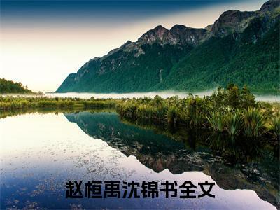 赵桓禹沈锦书是什么小说-赵桓禹沈锦书全文免费阅读无弹窗大结局（赵桓禹沈锦书）最新章节阅读