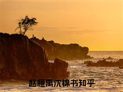 赵桓禹沈锦书小说免费阅读无弹窗大结局-赵桓禹沈锦书（赵桓禹沈锦书）小说全文阅读