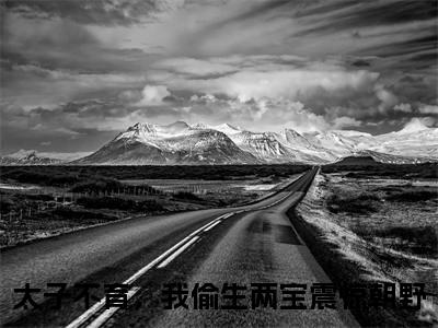 向云疏谢渊（太子不育，我偷生两宝震惊朝野）全文免费阅读无弹窗大结局_（太子不育，我偷生两宝震惊朝野小说免费阅读）_笔趣阁