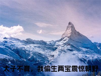 太子不育，我偷生两宝震惊朝野全文免费阅读大结局-（向云疏谢渊）最新章节列表在线阅读