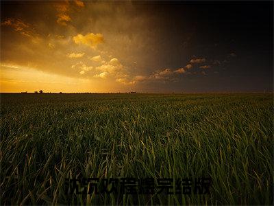 沈沉欢程煜（沈沉欢程煜）小说全文免费阅读无弹窗-沈沉欢程煜全章节在线阅读