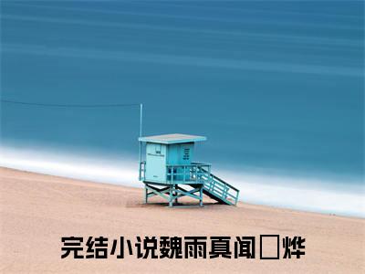 魏雨真闻璟烨免费阅读无弹窗，魏雨真闻璟烨小说大结局全文免费阅读