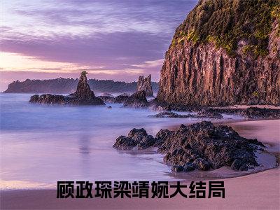 顾政琛梁靖婉小说最新试读_(顾政琛梁靖婉免费阅读最新章节列表)_笔趣阁