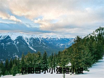 苏阳白小小（苏阳白小小）最新章节阅读-（苏阳白小小）免费阅读大结局无弹窗