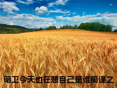 暗卫今天也在想自己是谁周谨之（暗卫今天也在想自己是谁周谨之）小说全文无删减-暗卫今天也在想自己是谁周谨之小说大结局免费阅读