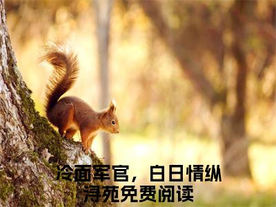 冷面军官，白日情纵浔苑完整版全文在线赏析-冷面军官，白日情纵浔苑全文在线阅读