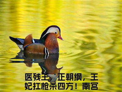 医残王，正朝纲，王妃扛枪杀四方！南宫卿全文（医残王，正朝纲，王妃扛枪杀四方！南宫卿免费阅读）全文免费阅读无弹窗大结局_医残王，正朝纲，王妃扛枪杀四方！南宫卿最新章节列表_笔趣阁（医残王，正朝纲，王妃扛枪杀四方！南宫卿免费阅读）