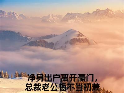 净身出户离开豪门，总裁老公悔不当初萧逸（净身出户离开豪门，总裁老公悔不当初萧逸最新全章节大结局）全文阅读-净身出户离开豪门，总裁老公悔不当初萧逸在线小说免费阅读