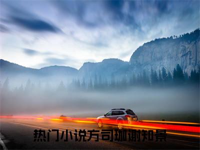 方司珈谢知景（方司珈谢知景）正版小说最新章节在线阅读_（方司珈谢知景全文免费阅读无弹窗）