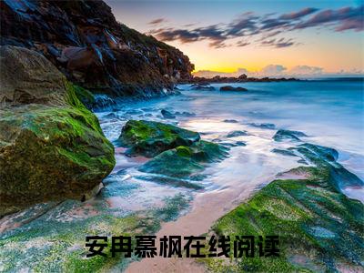安冉慕枫小说（安冉慕枫）最新章节阅读-最新热点小说安冉慕枫