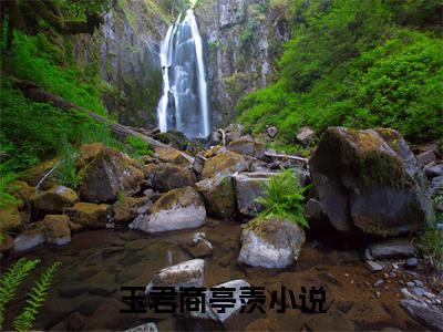 玉君商亭羡小说全文免费阅读无弹窗大结局_小续弦最新章节列表_笔趣阁