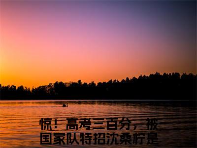惊！高考三百分，被国家队特招沈桑柠（惊！高考三百分，被国家队特招沈桑柠）免费阅读全本资源-热门新书惊！高考三百分，被国家队特招沈桑柠在线阅读