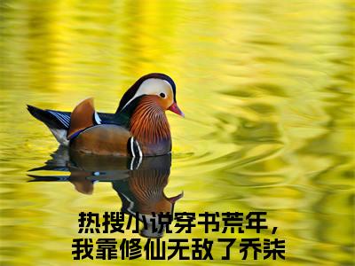 穿书荒年，我靠修仙无敌了乔柒小说完整版阅读 穿书荒年，我靠修仙无敌了乔柒全文在线赏析