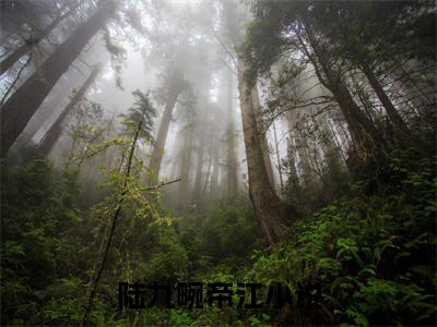 陆九畹帝江免费阅读无弹窗大结局-陆九畹帝江最新全章节全文阅读免费阅读-笔趣阁