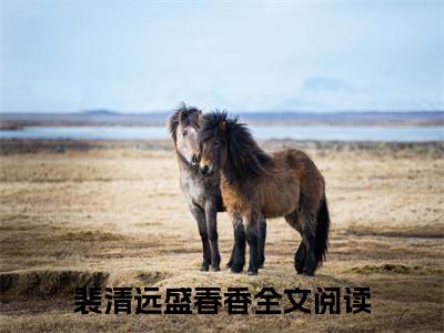 七零：那两口子万人嫌，太发癫了小说全文免费阅读-裴清远盛春香小说最新章节列表