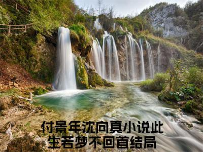 付景年沈向真（此生若梦不回首）全文免费阅读无弹窗大结局_（付景年沈向真无弹窗）此生若梦不回首最新章节列表阅读_笔趣阁