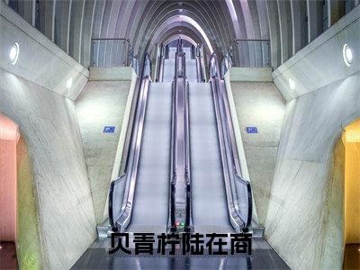 （结局）+（免费）贝青柠陆在商是哪部小说的主角，回国后，被病娇大佬掐腰宠全文在线赏析