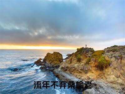 姚定北免费阅读无弹窗大结局-流年不弃桑榆老（姚定北最新全章节大结局）全文阅读